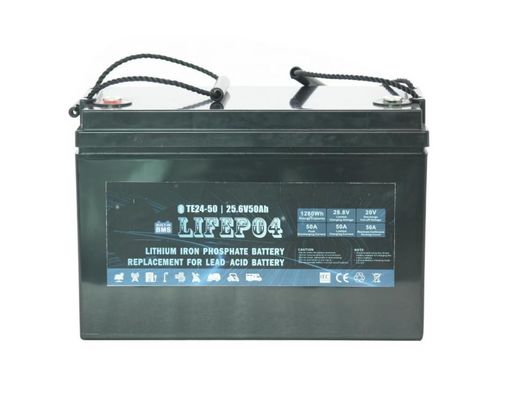 litio portátil BMS For Replacement Of de la batería Lifepo4 de 24V 42AH de plomo