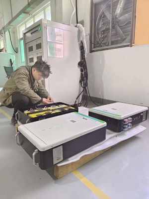 batería montada en la pared nacional de los sistemas de batería de 48V 100AH LiFePo4